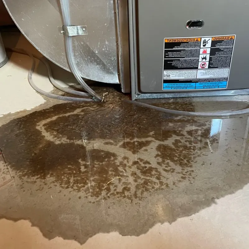 Pipe Burst and Leak Restoration in Heathsville, VA