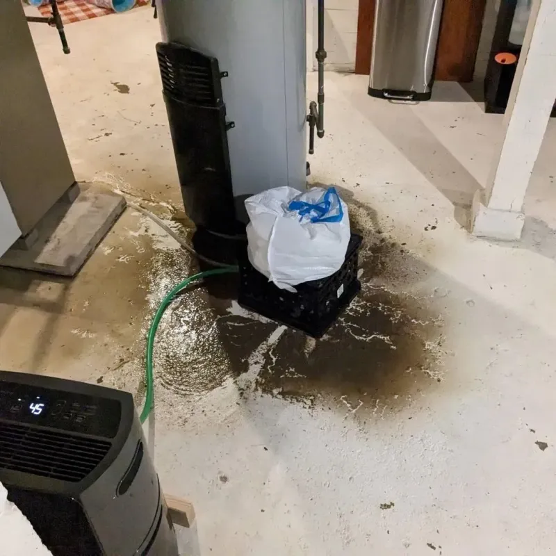 Sewage Backup Cleanup Service in Heathsville, VA